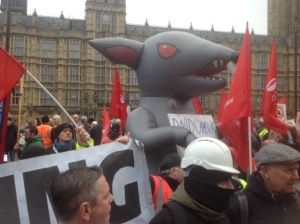 20131120-024201 pm.jpg